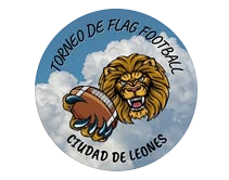 Prácticas extracurriculares fisioterapia Ciudad de Leones1796589114